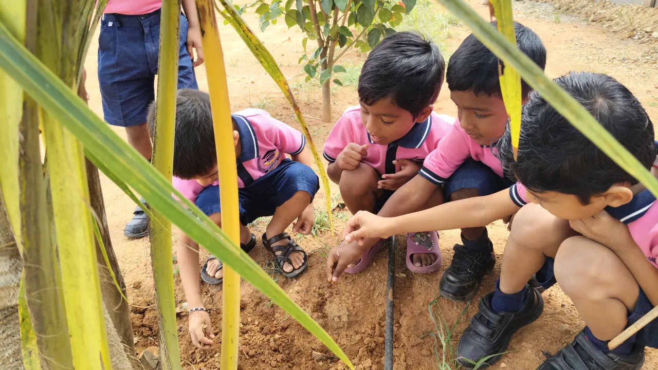 Gardening activity at CMR International School